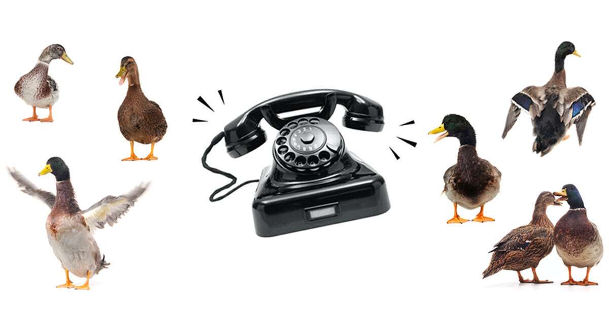 Contact Winduk's by phone or email Winduk Decoys Waterfowl Hunting